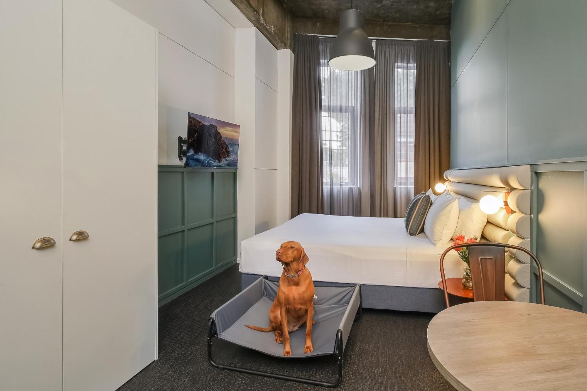 The Urban Newtown Hotel Sydney Kültér fotó
